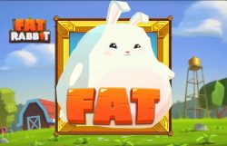 Fat Rabbit